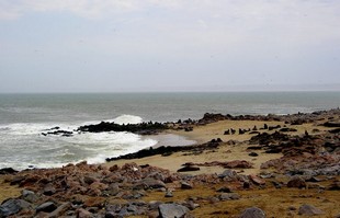 537 Namibia Okt 2006 .JPG